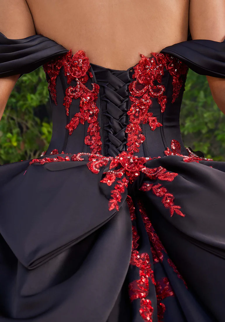 Quinceañera Dress 2